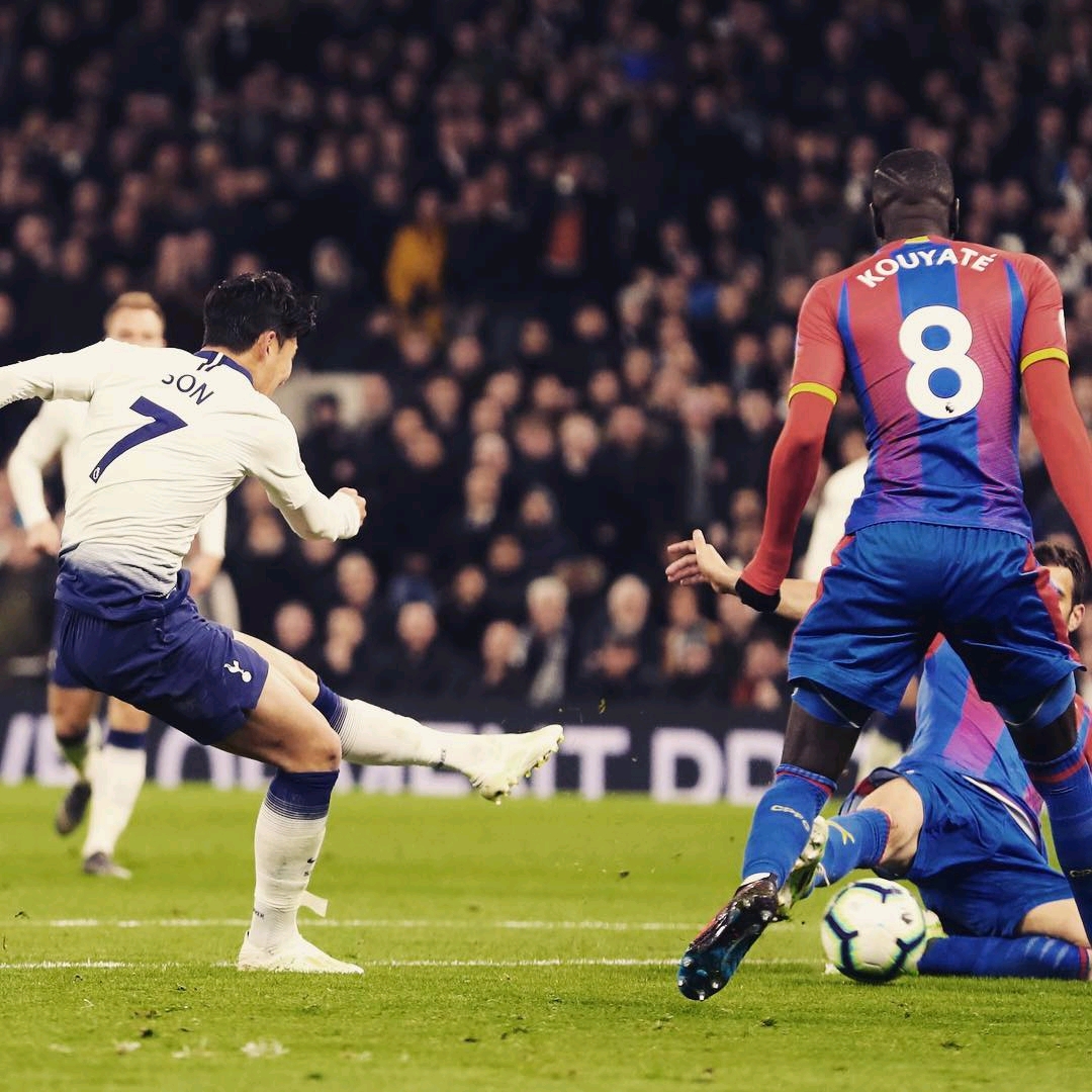 我们发现采 我们发现采